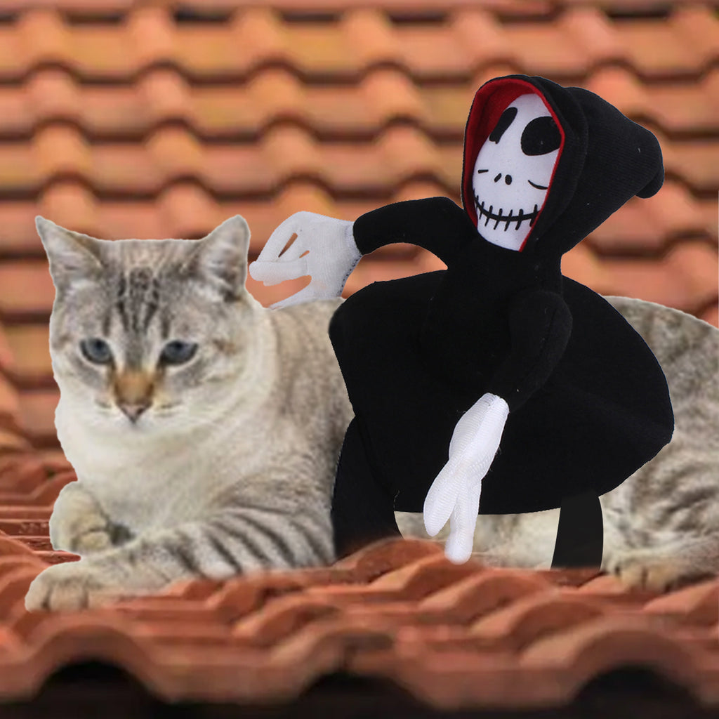 Mr. Skeleton