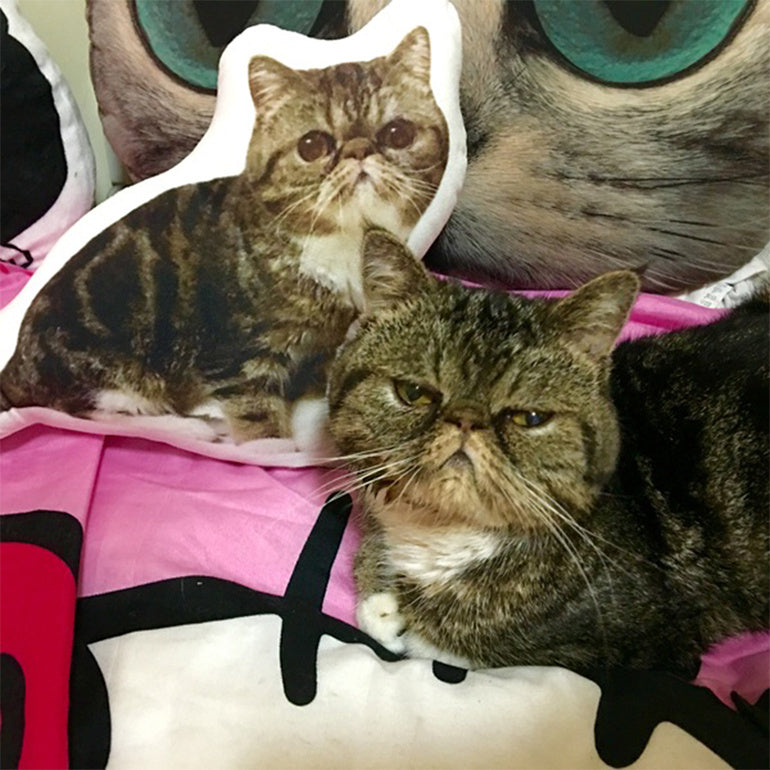 Custom Fur Baby Pillow