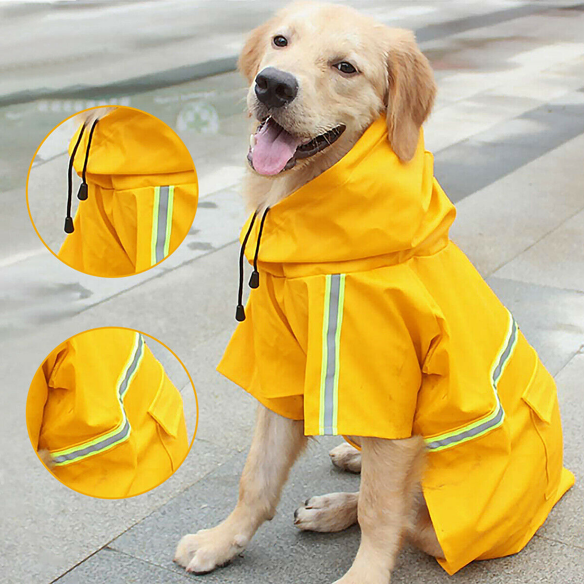 Doggy Raincoat