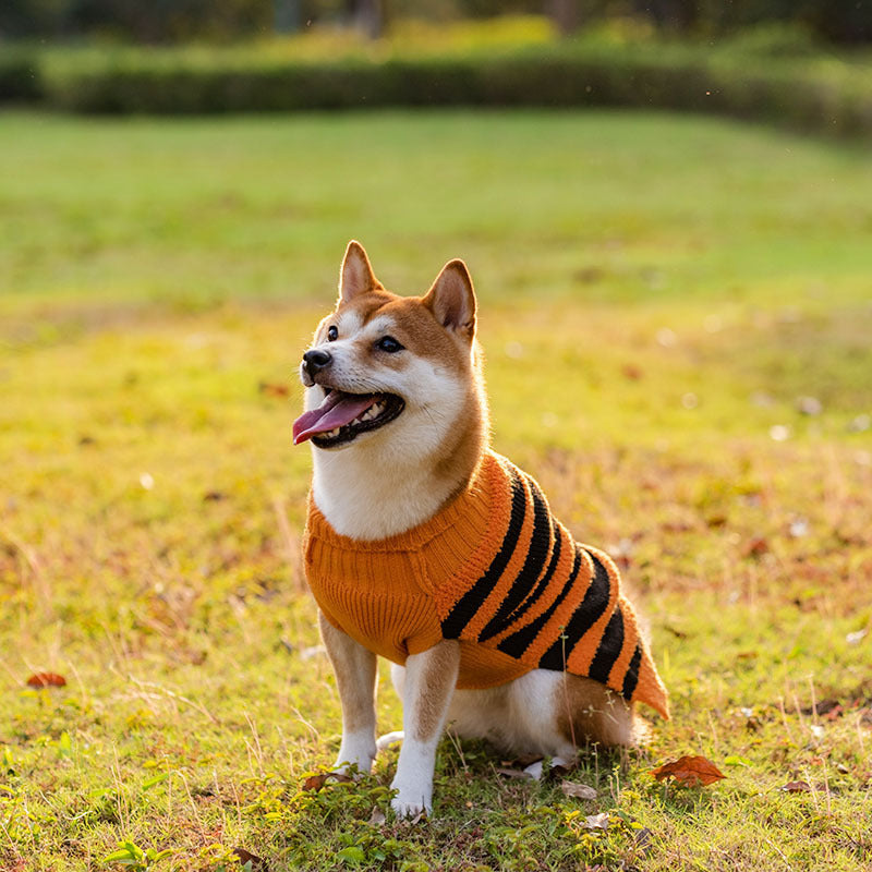 Stripe Sweater