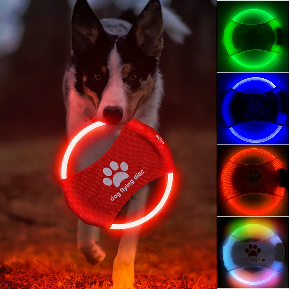 Light Disk