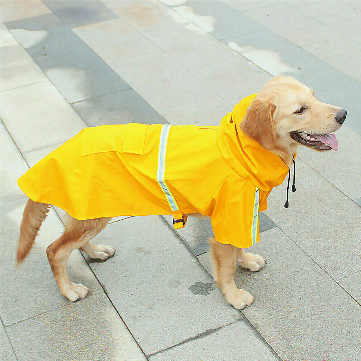 Doggy Raincoat