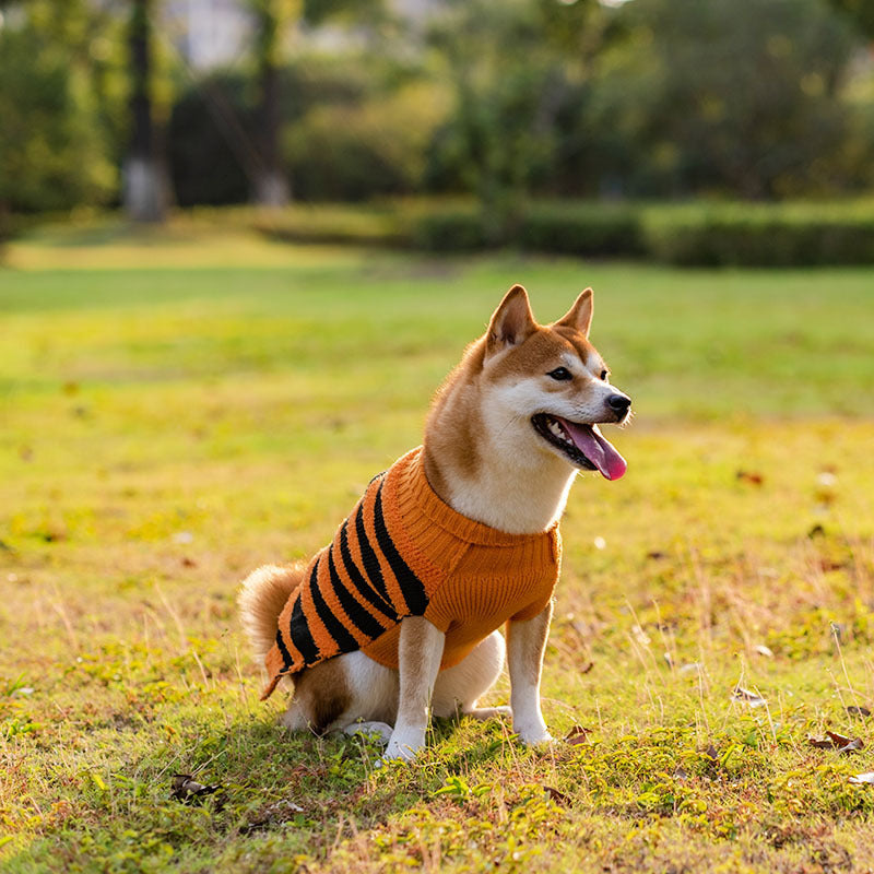 Stripe Sweater