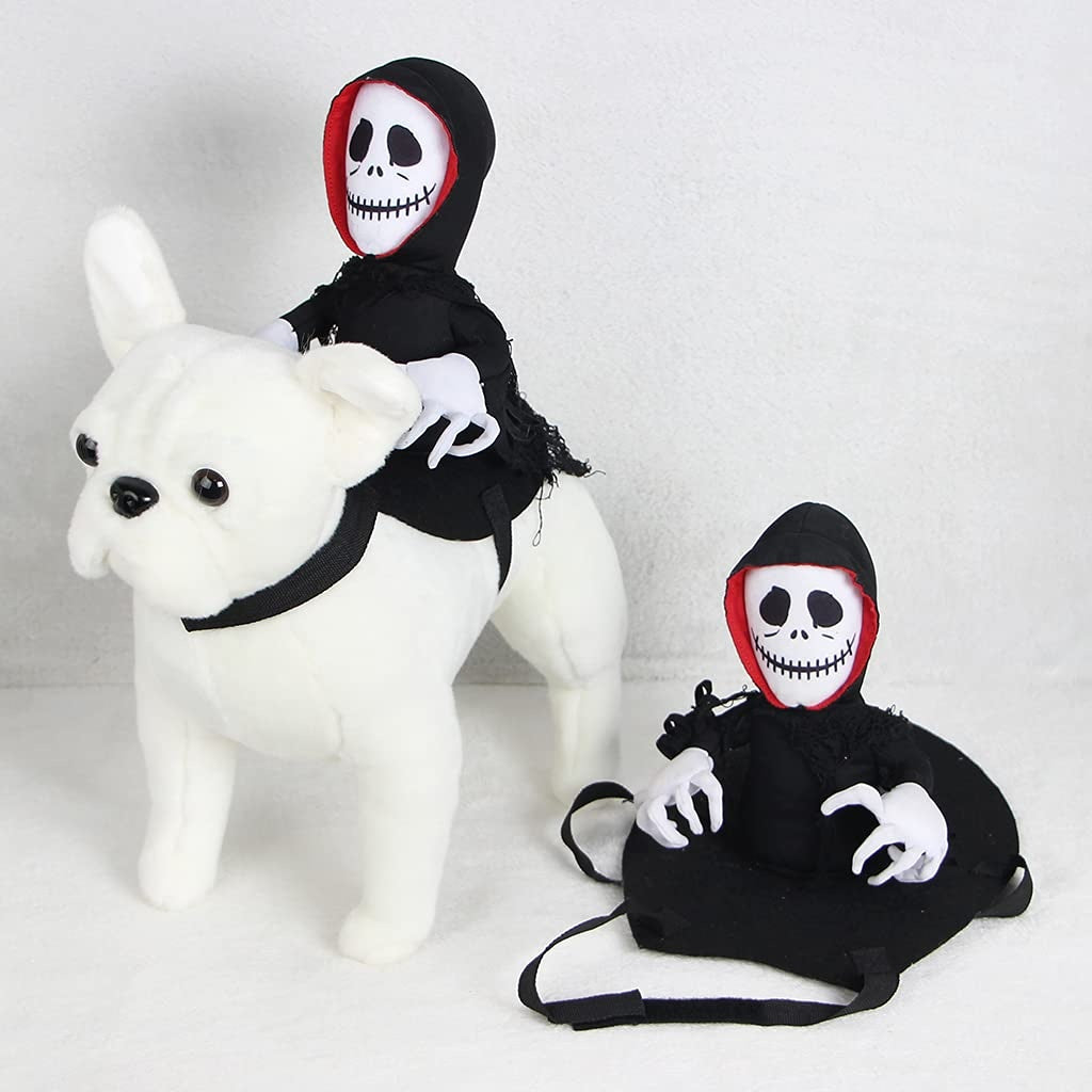 Mr. Skeleton