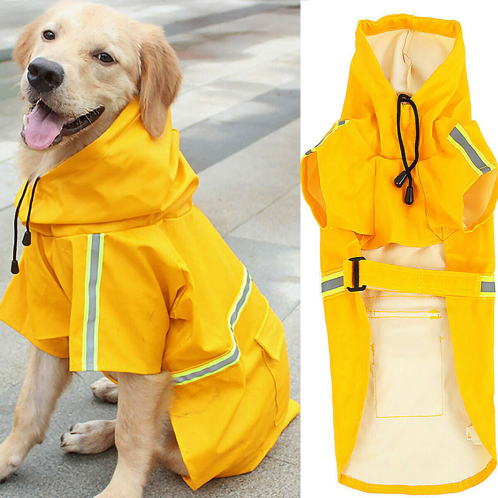 Doggy Raincoat
