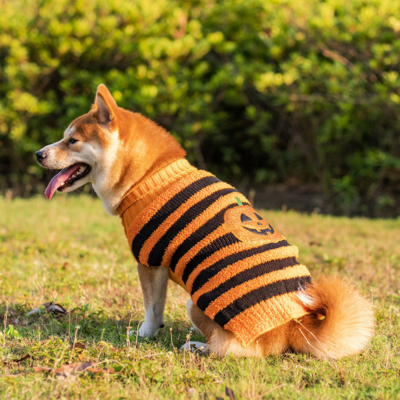 Stripe Sweater