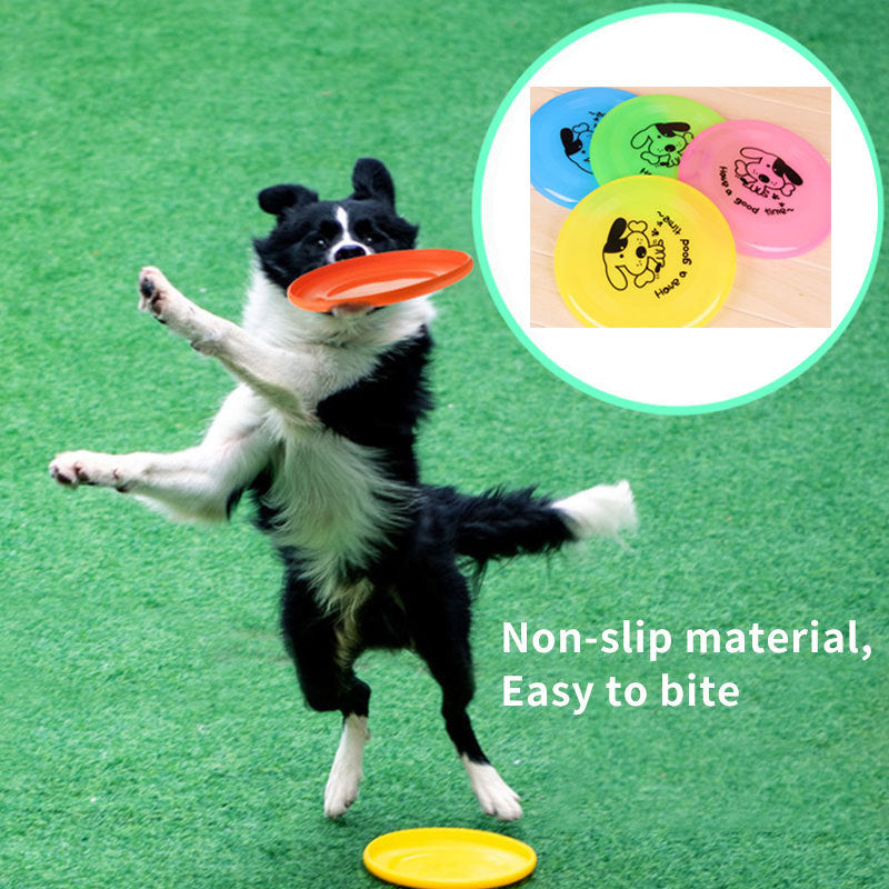 Doggy Frisbe