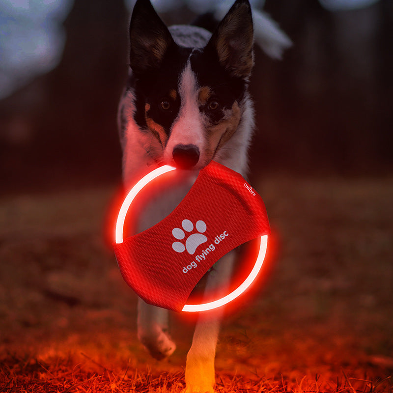 Light Disk
