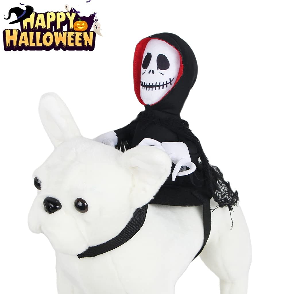Mr. Skeleton