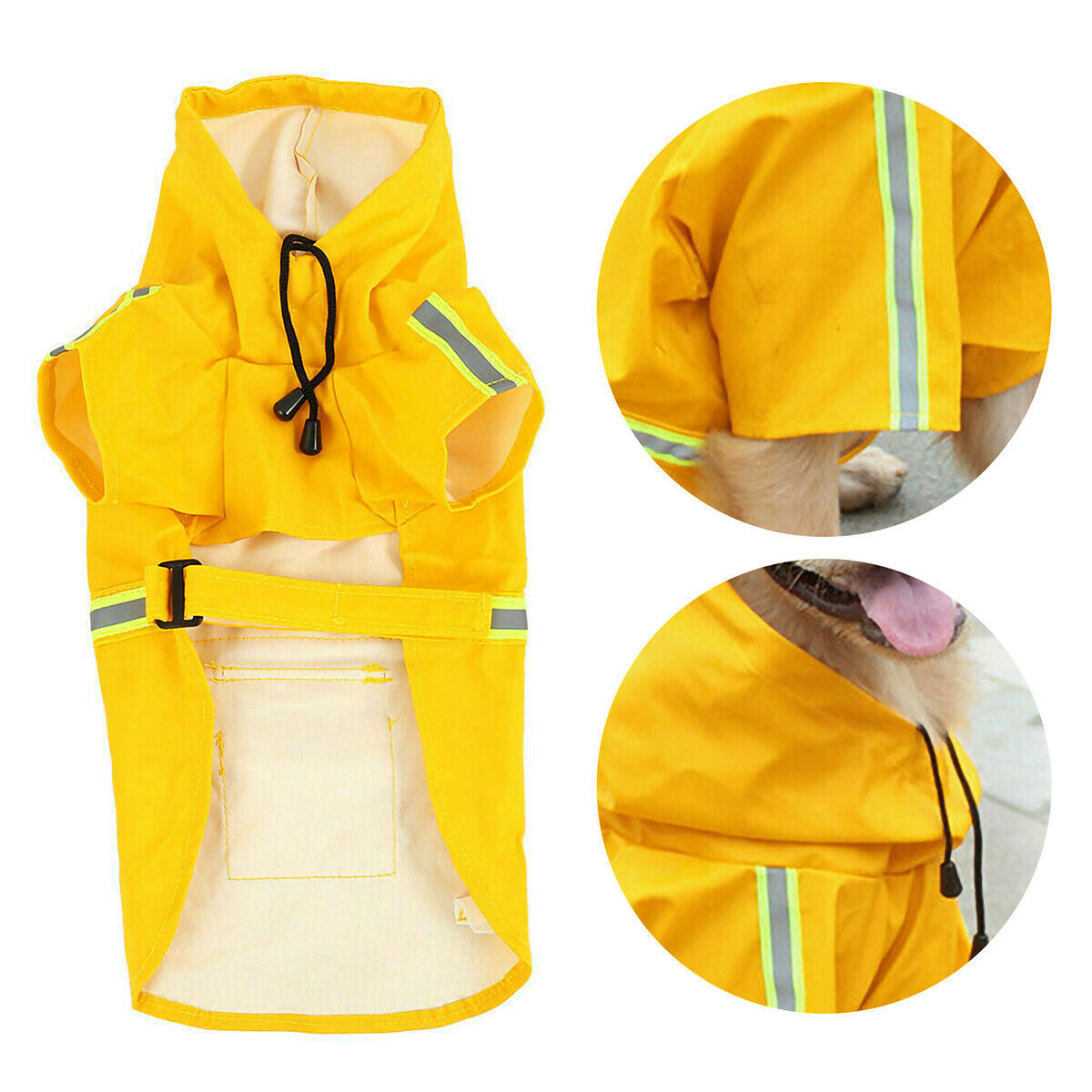 Doggy Raincoat
