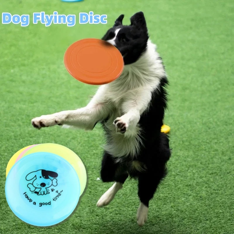 Doggy Frisbe