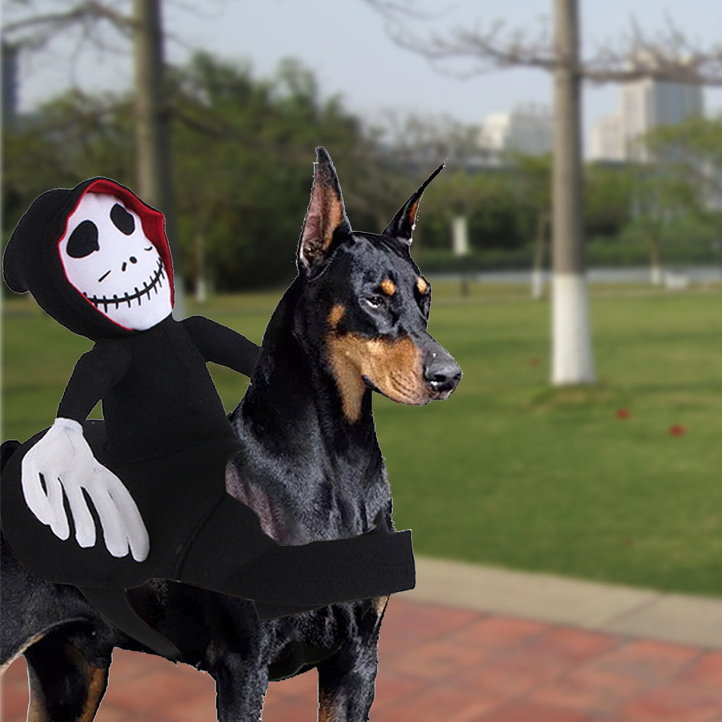 Mr. Skeleton